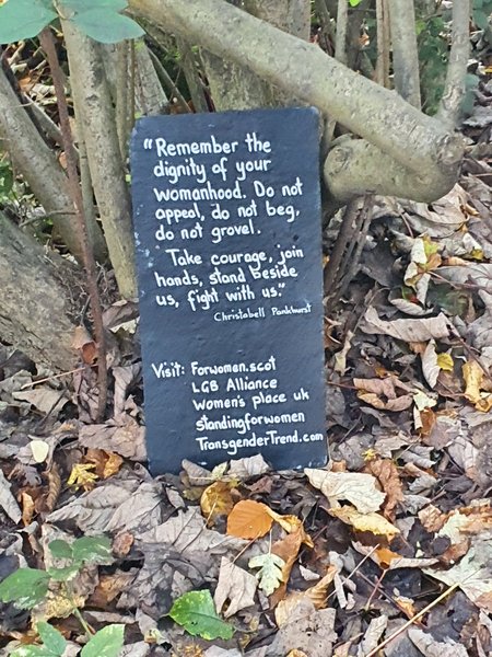 Witches were at work in Kelvingrove Park in Glasgow last night