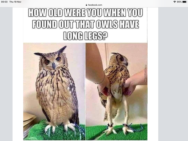 Well I never knew that