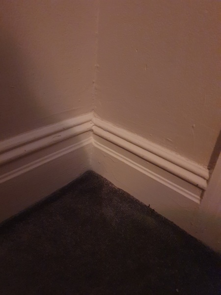 Anyone got a greige (grey-beige) paint shade?