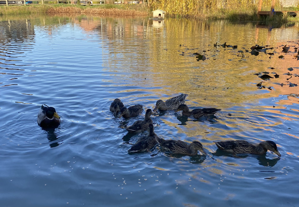 NOT what I expected to wake up to this morning...