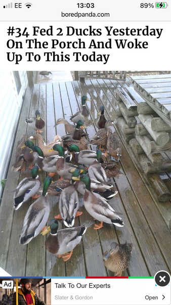 NOT what I expected to wake up to this morning...