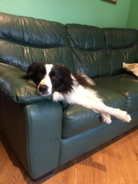 Life Changing Cleaning  - Why Didn't I Know?