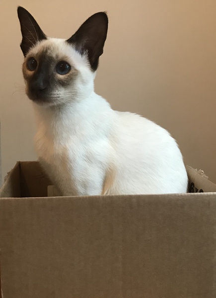 Come and tell me your dull and unexciting news 6: Calmly through the day