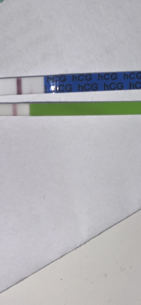 IB???