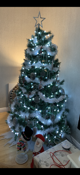 Get your trees out!!!!!