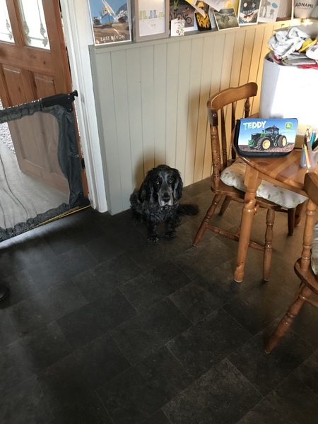 Come and tell me your dull and unexciting news 6: Calmly through the day