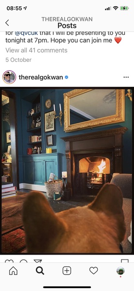Green north facing living room - Gok Wan