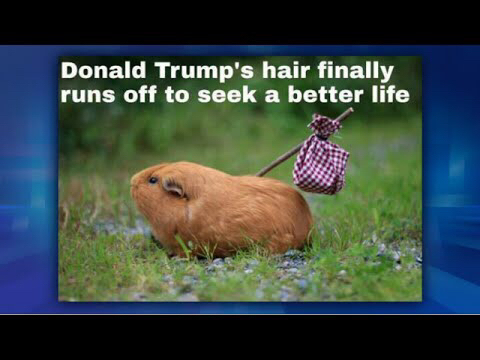 Thread for Trump memes and jokes?
