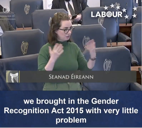 Irish Labour senator uses TERF as a slur