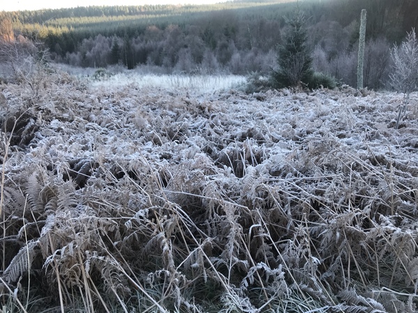 Running Thread 16