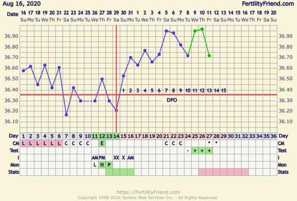 TTC - sex every day / other day