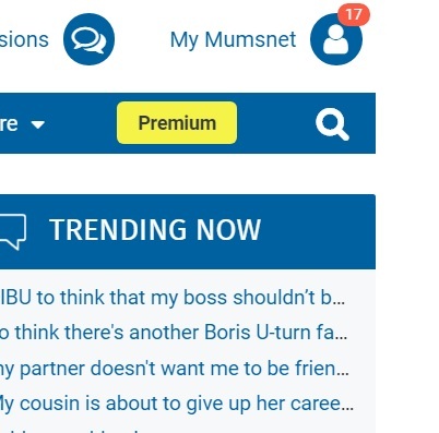 How to view your Mumsnet notifications