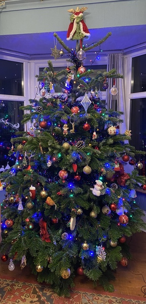 Get your trees out!!!!!
