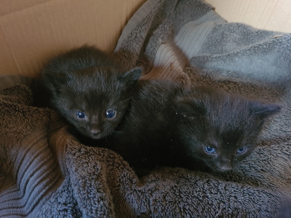 So I found something in my shed this morning...