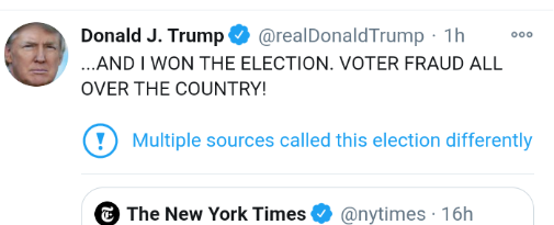 Donald has barricaded himself in the WH and we have Georgia on our minds. (Trump thread #113)