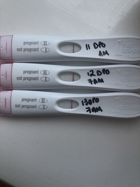 Faint bfp or frer indent?