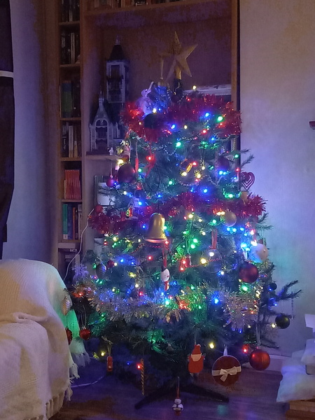 Get your trees out!!!!!