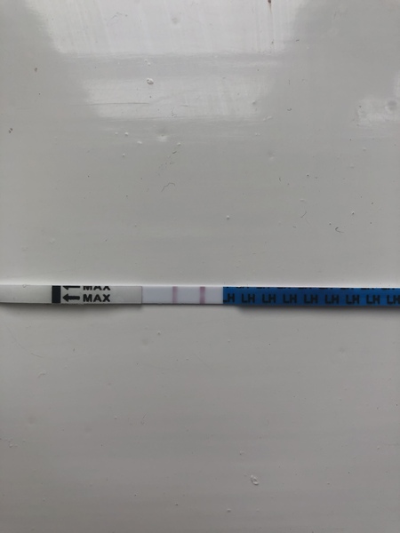 Faint bfp or frer indent?