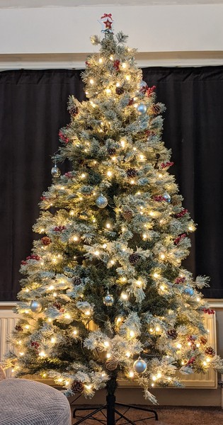 Get your trees out!!!!!