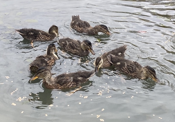 NOT what I expected to wake up to this morning...