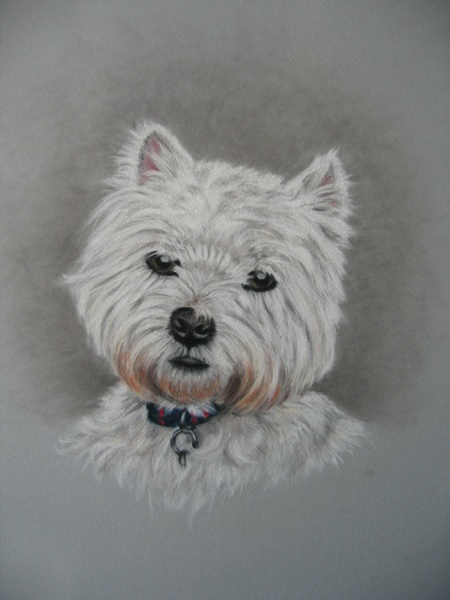 Asking for a friend - how much would you pay for a painting like this of your dog? (photo and painting attached)