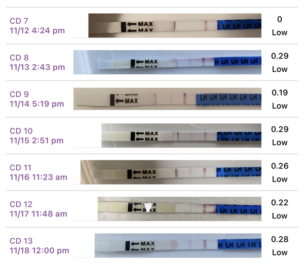 OPK peak??