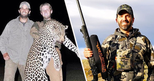 To think Donald Trump Jr is an attractive man?