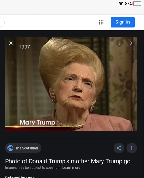 Trump's hair