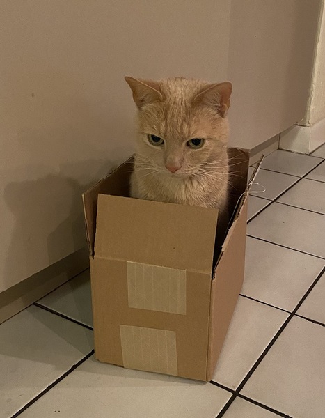 Come and tell me your dull and unexciting news 6: Calmly through the day