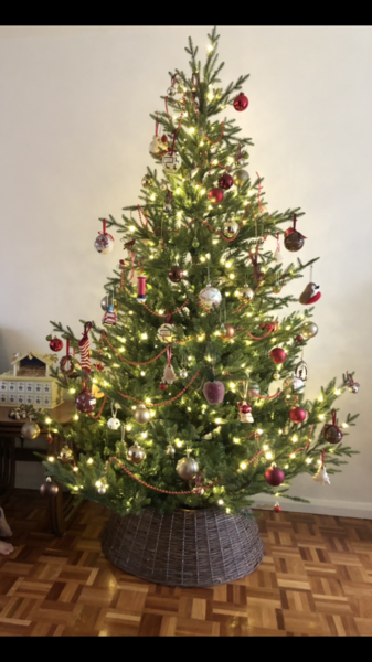 Get your trees out!!!!!