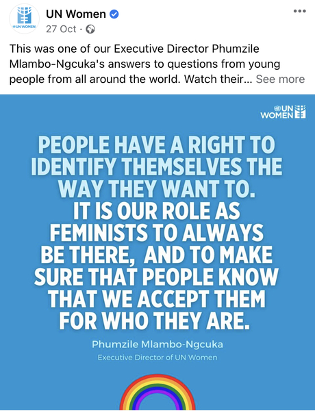 Transinclusive feminists, please help me understand.
