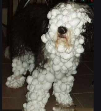 Equafleece or drying robe?