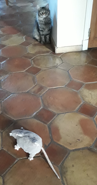 Westministenders: Its the waiting that kills you