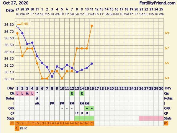 Tracking your cycle and possible BFP using RHR - part 4