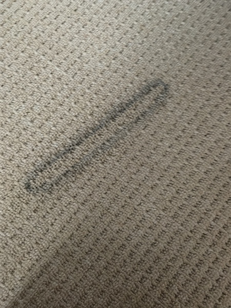 HELP!! Hoover mark in carpet