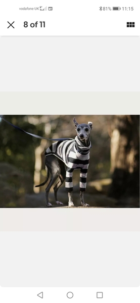 Please don't laugh...pyjamas for dogs?