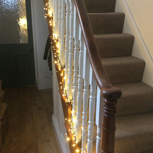 Screw this sh!t - we are putting up our tree today.