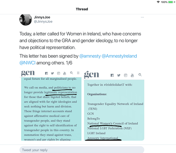 Amnesty International (Ireland) and NGO's argues for removal of political representation of women who defend biologicial reality