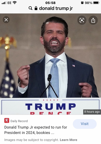 To think Donald Trump Jr is an attractive man?