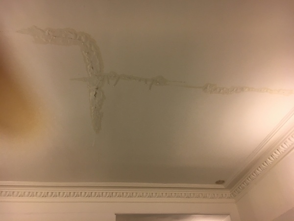Help me!  My Frying is stuck on the window ledge