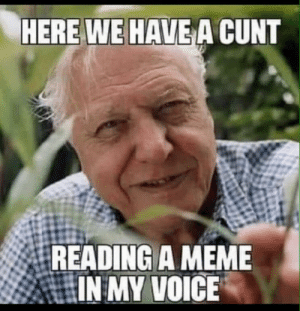 Can we have a meme thread?
