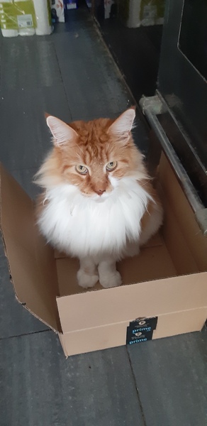 Come and tell me your dull and unexciting news 6: Calmly through the day