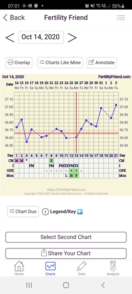 Negative test 6dpo