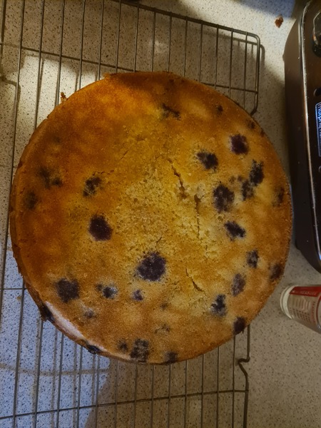 nut free polenta cake