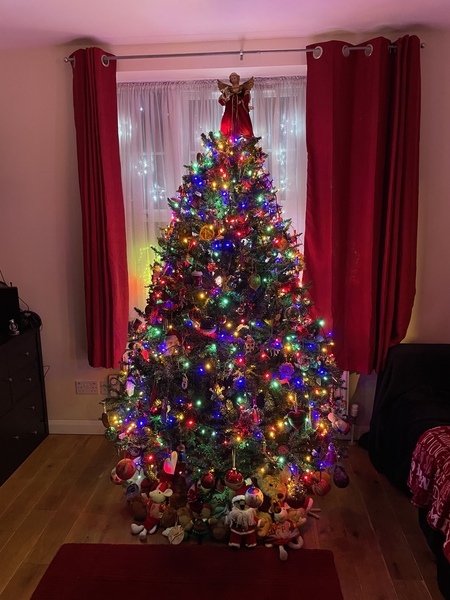 Have we had a 'show me your Christmas tree' thread yet?
