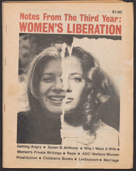 Transinclusive feminists, please help me understand.