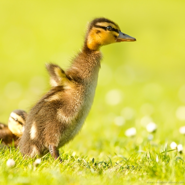 NOT what I expected to wake up to this morning...