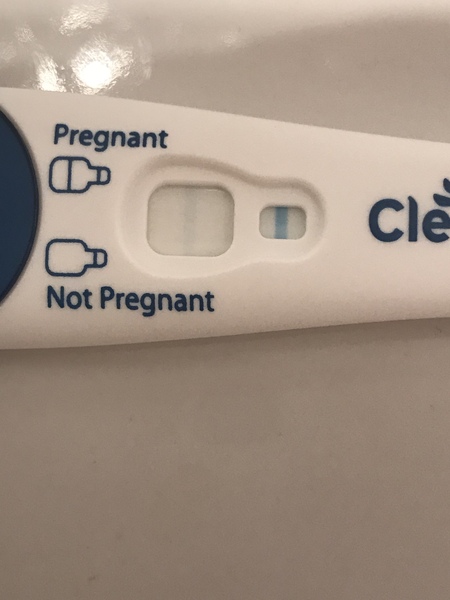 Support thread for women who are pregnant or TTC following a termination for abnormalities. Thread 7