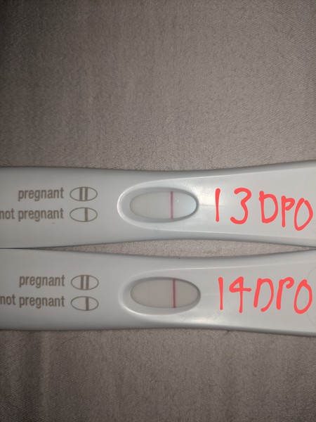 14DPO - line eyes please