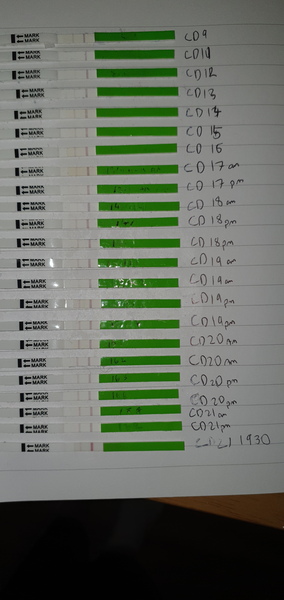 OPK peak??
